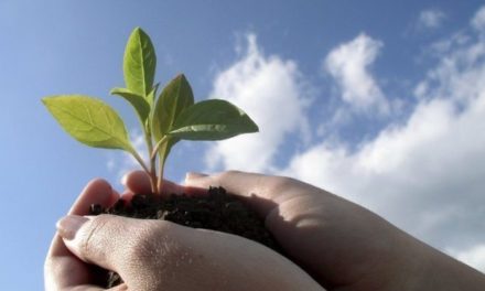 Perihal Rezeki Pemberian Tuhan