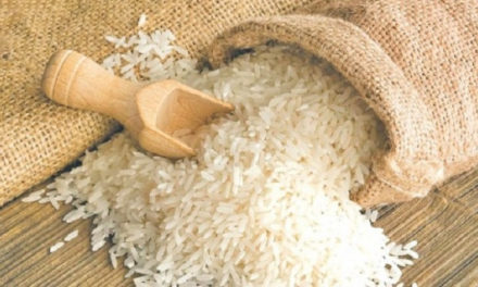 Zakat Fitrah sebagai Bagian Penyempurna Kualitas Puasa Ramadan Seseorang