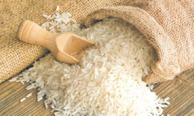 Zakat Fitrah sebagai Bagian Penyempurna Kualitas Puasa Ramadan Seseorang