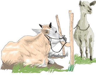 Berkurban untuk Mengasah Dimensi Kemanusiaan