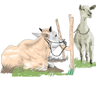 Berkurban untuk Mengasah Dimensi Kemanusiaan