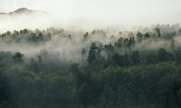 Karhutla dan Mu’amalah ma’al Bi’ah