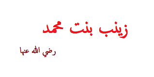 Kisah Cinta dari Rumah Nabi Saw: Zainab (Bagian 02)