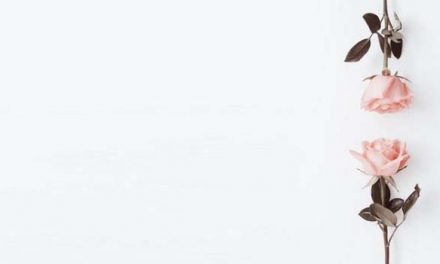 Kisah Cinta dari Rumah Rasulullah: Zainab (Bagian 03)