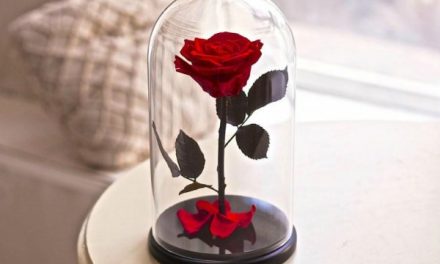 Kisah Cinta dari Rumah Rasulullah: Zainab (Bagian 05)