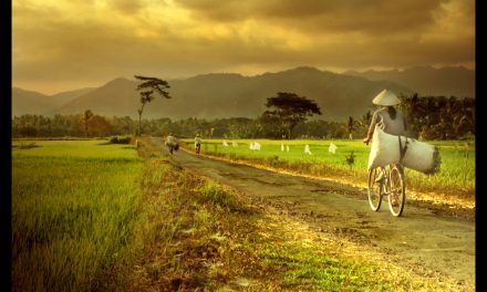 Kerinduan pada Kampung Halaman