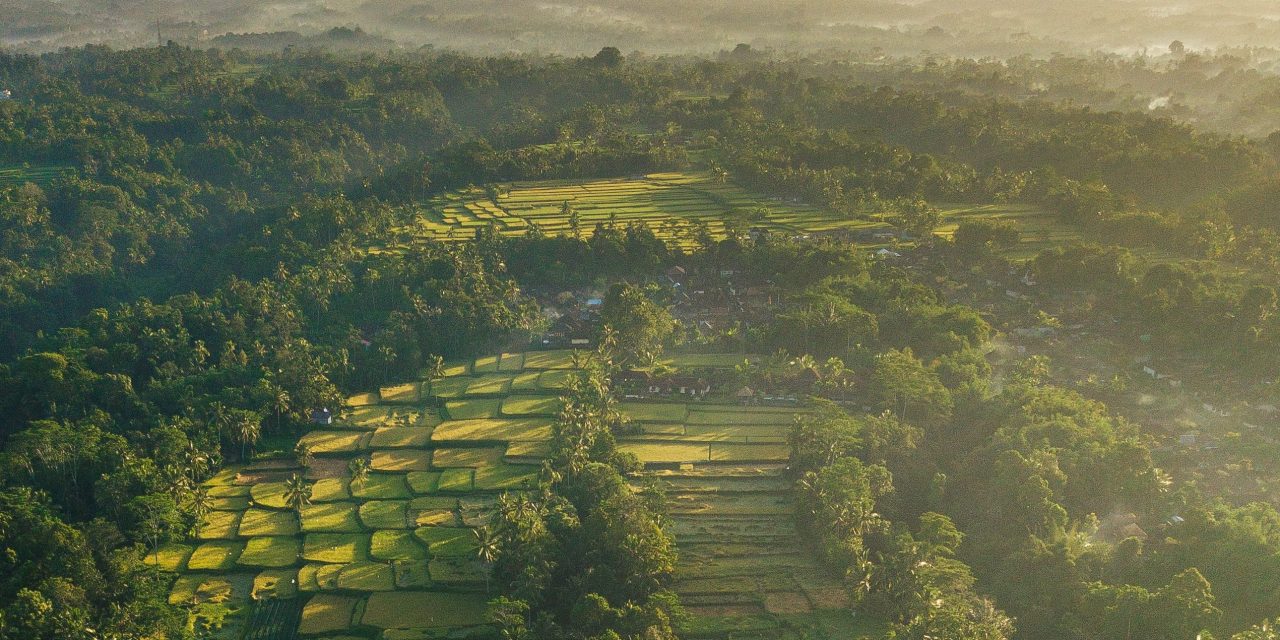Kontestasi Sosial dan Saintifikasi Local Genius