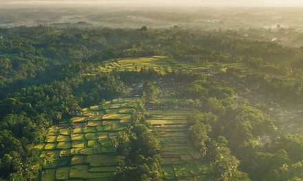 Kontestasi Sosial dan Saintifikasi Local Genius