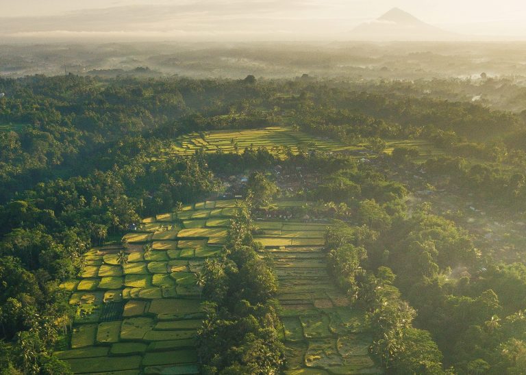 Kontestasi Sosial dan Saintifikasi Local Genius