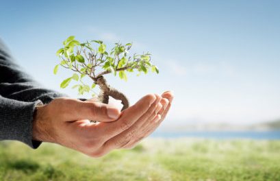 Sunnah Nabi dalam Mengelola Alam