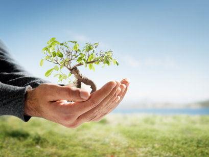 Sunnah Nabi dalam Mengelola Alam