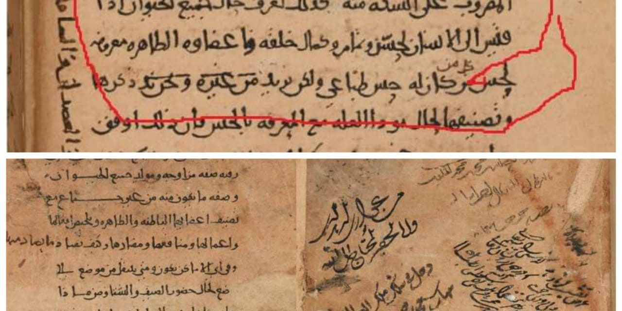 Teori Evolusi, Manuskrip Biologi Aristoteles, dan Ayat Kesempurnaan Manusia