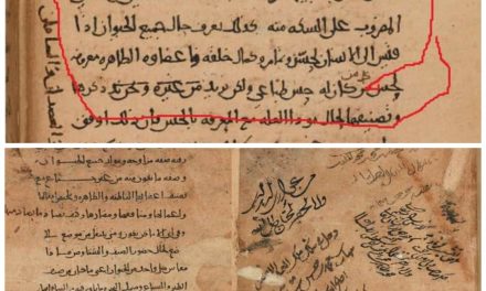 Teori Evolusi, Manuskrip Biologi Aristoteles, dan Ayat Kesempurnaan Manusia