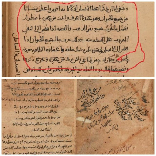 Teori Evolusi, Manuskrip Biologi Aristoteles, dan Ayat Kesempurnaan Manusia