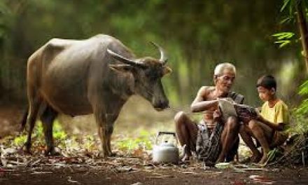 Berguru Pada Orang Kampung