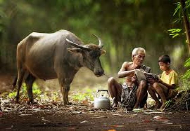 Berguru Pada Orang Kampung