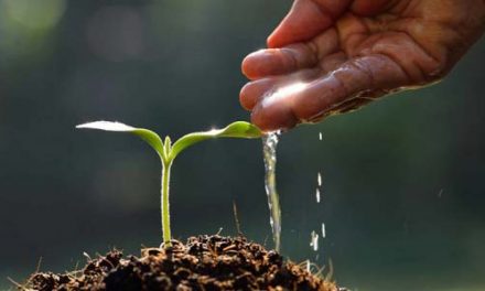 Kebaikan dan Keburukan