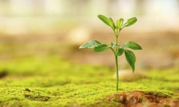 Kenyataan Tidak Selalu Seindah Harapan