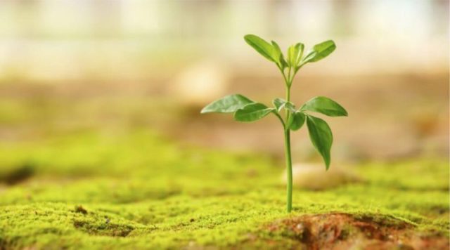 Kenyataan Tidak Selalu Seindah Harapan