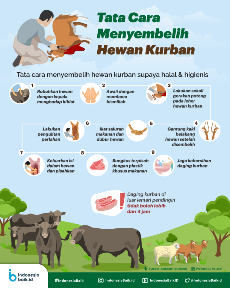 Pentingnya Sikap Ihsan dalam Penyembelihan Hewan