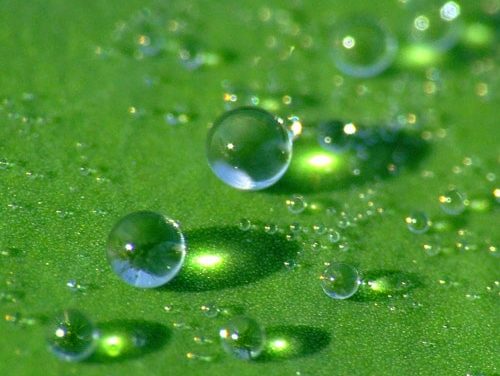 Siapakah Mukhlashin Itu?