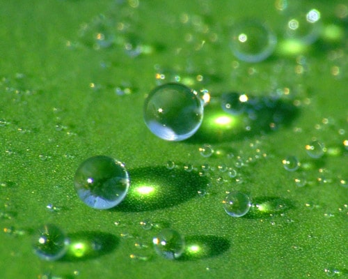 Siapakah Mukhlashin Itu?