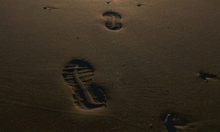 Jangan Pernah Berhenti Melangkah