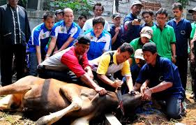 Juru Sembelih Halal dan Pentingnya Edukasi Halal