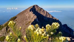 Harmoni Masjid dan Gereja di Bawah Kaki Gunung Raung