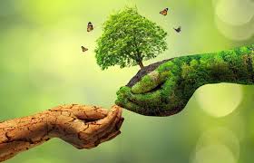 Ramadan Ramah Lingkungan