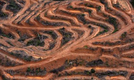 Menjaga Lingkungan Menjaga Masa Depan