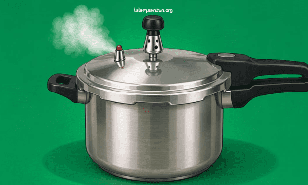 Yang Tidak Dipahami Komdigi tentang Logika Panci Presto